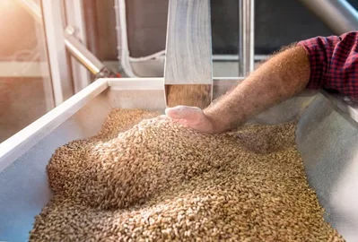 seed Processing 1