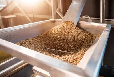 seed Processing